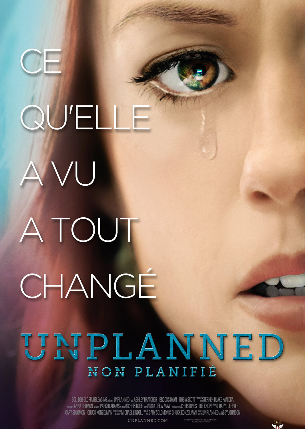 Unplanned-affiche